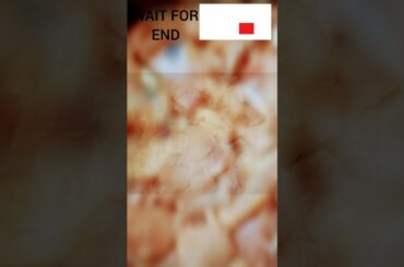 Chili chicken recipe #shorts#youtube #priyanka