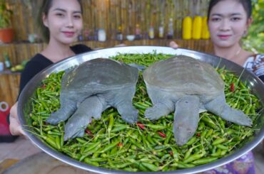Turtle cook recipe with green chili recipe and eat - Amazing cooking