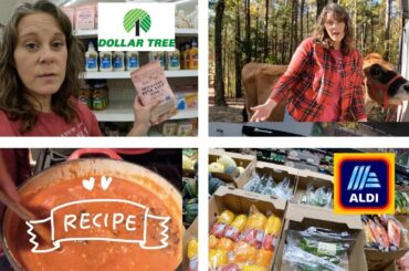 ALDI Shop With Me, Homestead Update & Chili Recipe! #aldi #dollartree #homesteadingfamily