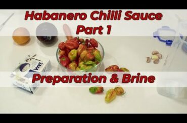 First time making a hot sauce with carrot and orange - need input/recommendations though: blend the carrot in after ferment, or remove?
