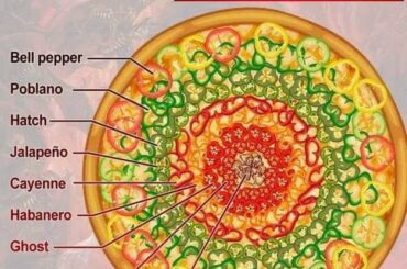 Funny meme and good chart