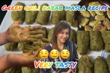 Spicy Green Chili Kabab Masala Recipe | Home Made | Routine Syria Foods and Travel