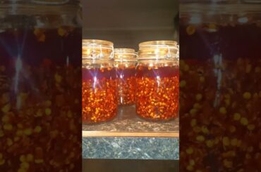 Home Made Chili Oil!  #shorts