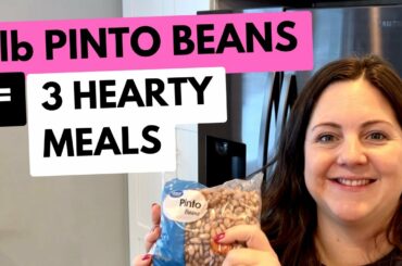 18 SERVINGS TOTAL | The Cheapest Burgers, Tacos, and Chili! | What to Make With Pinto Beans