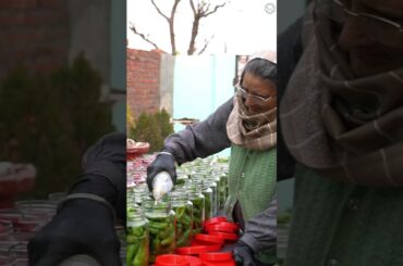 Red & Green Chilli Pickle #shorts