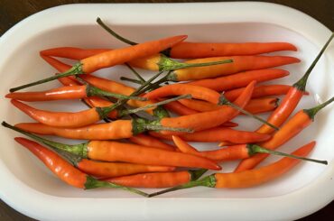 I have these hot Thai peppers. What would you do with them? I’m looking for a way to utilize them but running out of ideas. Those are all I have. Please feel free to throw in suggestions or recipes.