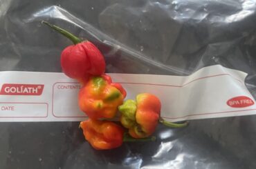 What chilli are these?