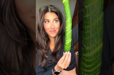 I wanted to get creative with using my homemade chili crisp #chilicrisp #cucumber #shorts