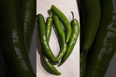 fry pork with chili pepper. #youtubeshorts #food #cookingchannel #youtubereels #cooking #cook