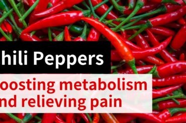 Chili Peppers: Bringing a spicy flavor and health benefits, Boosting metabolism and relieving pain
