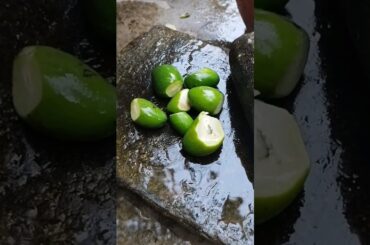 Tiny Raw Mangoes with Salt and Red Chili #village