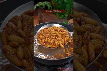EASY CRISPY SILKWORM PUPA RECIPE, DO U HAVE THE GUTS TO TRY? #recipe #cooking #chinesefood #silkworm