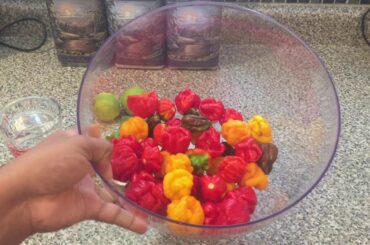 The Best Trinidad Scorpion Pepper Sauce RECIPE