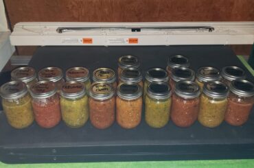 Salsa Night! (Nine Different Tomato Varieties)