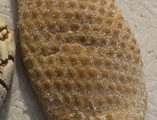 What is this pastry called?