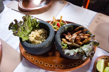 Escamoles y gusanos de maguey