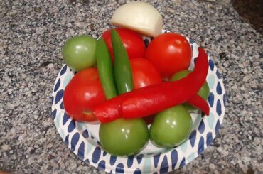 Roasted Tomato and Tomatillo Salsa with Dried and Fresh Peppers