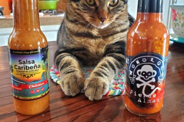 My baby excited for my new Costa Rican sauces..