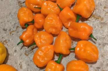 it's that time of the year :)