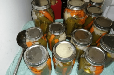 Pickled Jalapenos, Jalapeno Pickles, and a Jalapeno Giardiniera