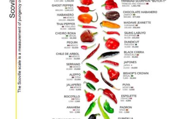 I really am finding anything above Habaneros are just hot for the sake of hot. Its just all heat, and no flavor at that point, to me anyways. Thoughts?