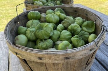 Annual Salsa Verde canning