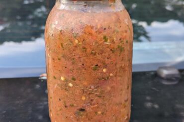easily the best salsa I've ever made.