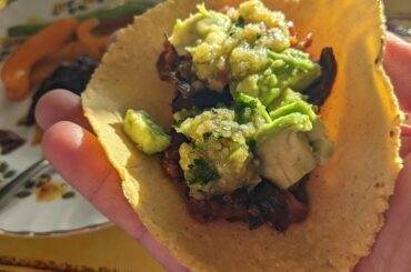 For years I've been pressing masa between the pages of a cookbook, today I finally bought a tortilla press and it has made life so much easier!
