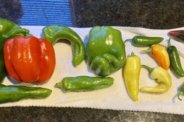 “End of the season” roasted pepper salsa