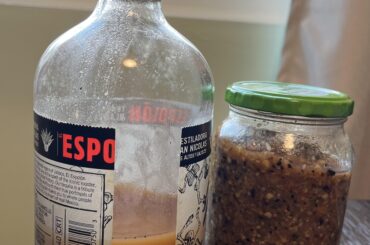 Habanero and ghost pepper salsa and hot sauce