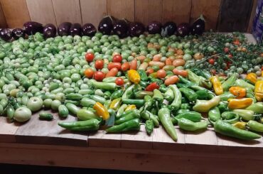Tried Duplicating TAQUERIA street sauce "Original Roja" and Salsa Verde. The only difference in the two recipes is that I used 1/3 ripe red tomatoes for the Roja, and switched out the red peppers for green peppers for the Salsa Verde, other than that both the same recipe but different tastes.