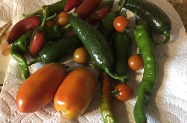 Home Grow Salsa number two