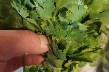 all home grown chillies in Az ( organic soil ), cilantro from Safeway, 74-40 canned tomatoes, 1 squeezed lime, dash of lime salt, stirred to perfection!