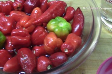 Pepper Sauce, step by step Recipe Video.