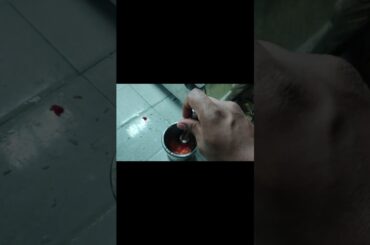 Tomato with Chili Fry Recipe - Spicy