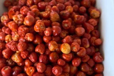 Any suggestions for a salsa? These are “Chile Tepin” that were brought to me from Sonora, MX. Not exactly sure of the proper name for these peppers but I know they are pretty spicy and are wonderfully aromatic. Thanks in advance for your suggestions.