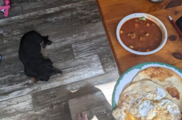 Desayuno con tortillas, huevos, salsa chipotle y salchicha para mi perro salchicha