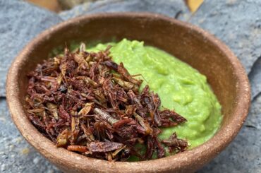 Can’t get enough of these yummy snack in Oaxaca
