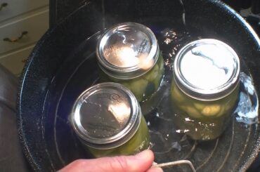 How to Can Hot Peppers Best Recipe