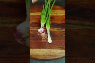 Chicken Chilli #chickenrecipe #chickenstarter #chickenchilli