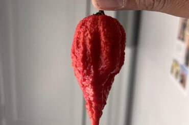 What should I do with these bad boys?