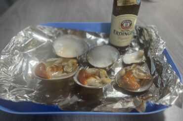 Brown/ chocolate clams