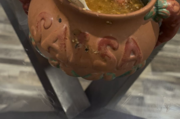 Nopales anyone?