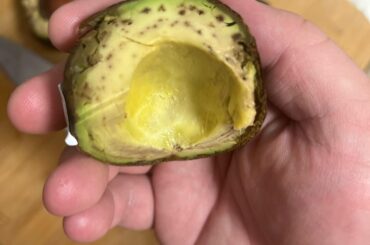Avocado safe to eat?
