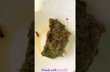 Marich Bharta | greenchilli | Chilli racipe (@mouriful )