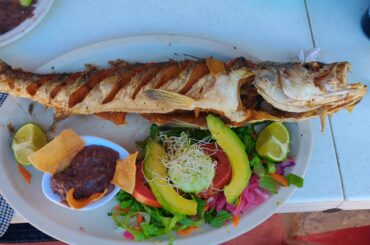 Pescado frito.