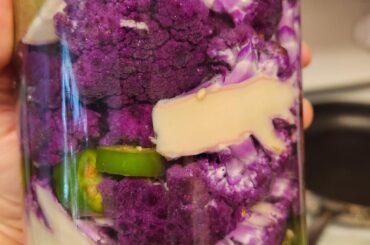 I am Fermenting Purple Califlower, 3 Sereno peppers, 7 Thai chilies and 3 cloves of garlic. Hoping to achieve a hotter result compared to my last batch of Califlower,Habanero and Sereno.