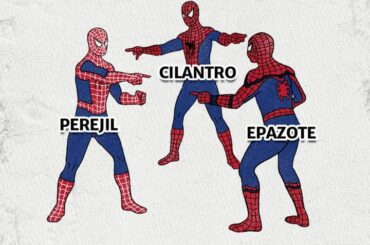 Humor