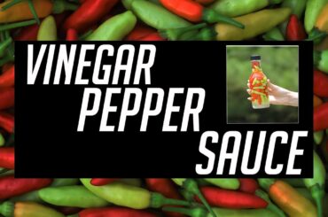 VINEGAR PEPPER SAUCE | Simple Recipe