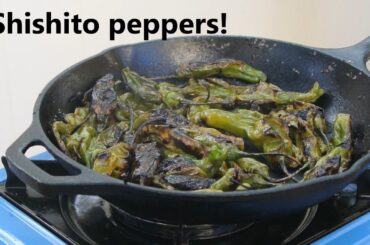 Shishito peppers recipe: Blistered, charred, delicious